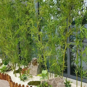 竹子在園林景觀中的傳統造景手法